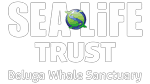 Beluga Whale Sanctuary